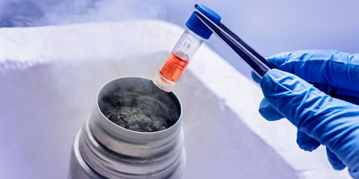 Cryopreservation service consultation in Navi Mumbai at Sattva Fertility Care Center 