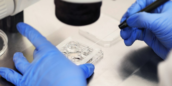 Egg donation program in Navi Mumbai at Sattva Fertility Care Center