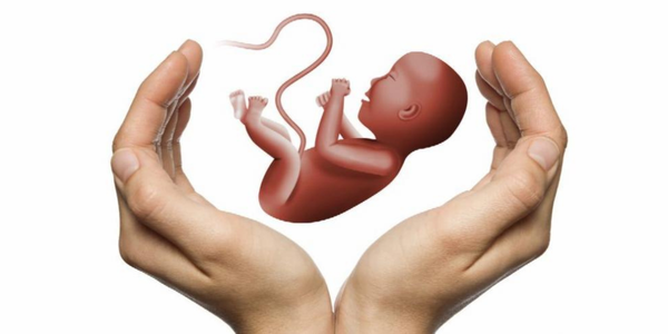Embryo donation program in Navi Mumbai at Sattva Fertility Care Center