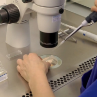 Examination and Tests at Sattva Fertlity Care Center