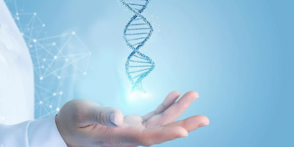 Genetic factors consultation in Navi Mumbai at Sattva Fertility Care Center