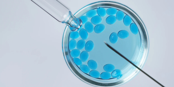 IUI insemination procedure in Navi Mumbai at Sattva Fertility Care Center