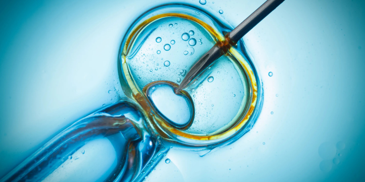 ICSI treatment consultation in Navi Mumbai at Sattva Fertility Care Center