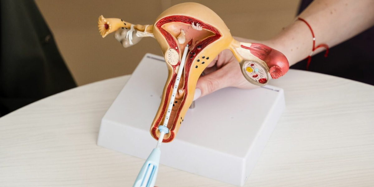 IUI treatment consultation in Navi Mumbai at Sattva Fertility Care Center