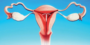 Intrauterine Insemination at Sattva Fertlity Care Center