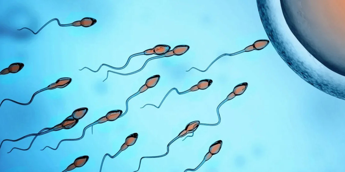 Male infertility and complex conditions consultation in Navi Mumbai at Sattva Fertility Care Center