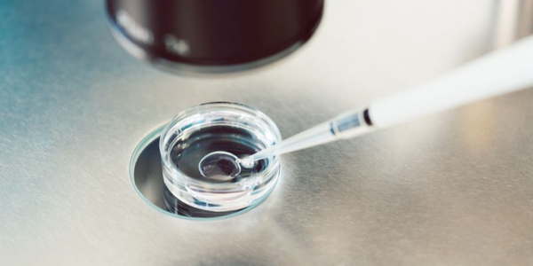 Optimized timing for egg retrieval in Navi Mumbai at Sattva Fertility Care Center