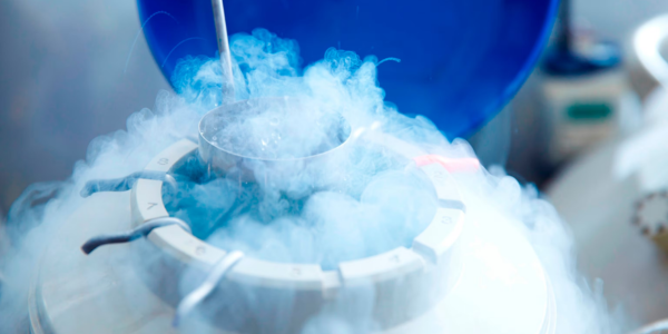 IVF success optimization in Navi Mumbai at Sattva Fertility Care Center