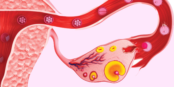 Ovarian stimulation procedure in Navi Mumbai at Sattva Fertility Care Center