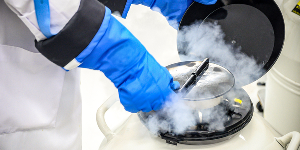 Fertility preservation consultation in Navi Mumbai at Sattva Fertility Care Center