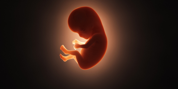 Preventing recurrent IVF failures with PGT in Navi Mumbai at Sattva Fertility Care Center