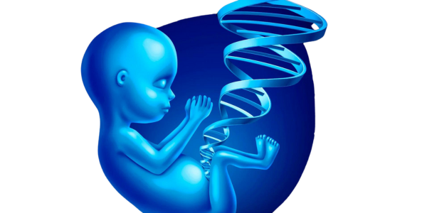 Reducing genetic disorder risks with PGT in Navi Mumbai at Sattva Fertility Care Center