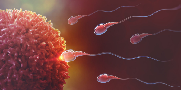 Sperm preparation process in Navi Mumbai at Sattva Fertility Care Center
