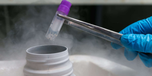 Cryopreservation at Sattva Fertlity Care Center